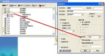 會(huì)計(jì)科目核算層級(jí)