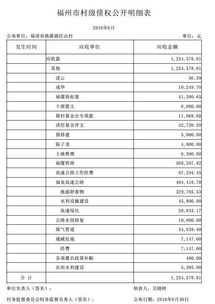 明細,合作社,會計科目,農(nóng)村
