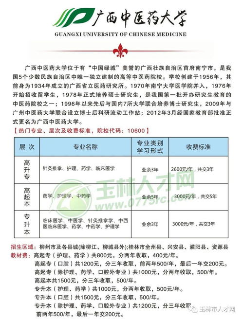 茶杯,用于,執(zhí)行,會計科目