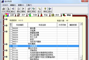 更正,錯(cuò)誤,會(huì)計(jì)科目,增加