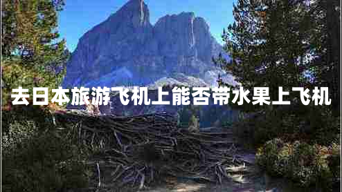 去日本旅游飛機(jī)上能否帶水果上飛機(jī)
