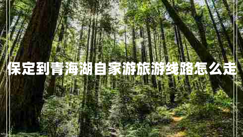 保定到青海湖自家游旅游線路怎么走