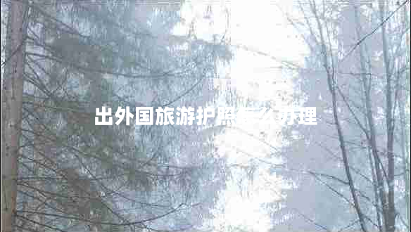 出外國(guó)旅游護(hù)照怎么辦理