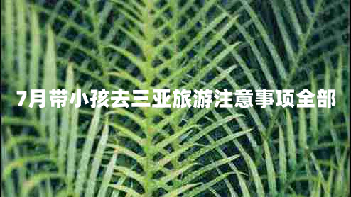 7月帶小孩去三亞旅游注意事項(xiàng)全部