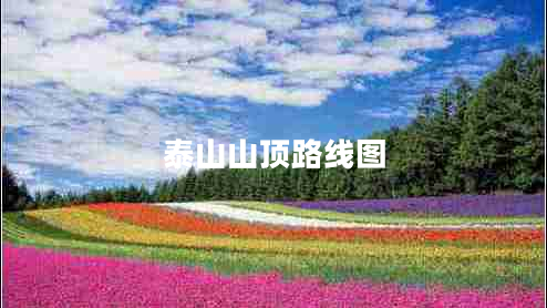 泰山山頂路線圖 泰山山頂路線圖