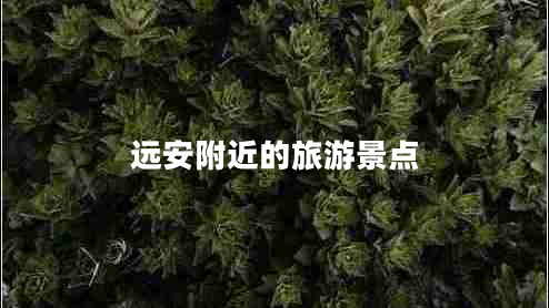 遠(yuǎn)安附近的旅游景點(diǎn) 遠(yuǎn)安附近的旅游景點(diǎn)