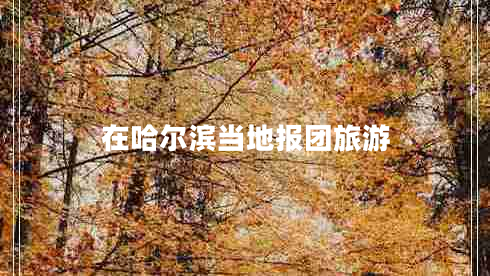 在哈爾濱當?shù)貓髨F旅游