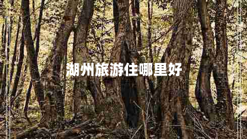 湖州旅游住哪里好 湖州旅游住哪里好