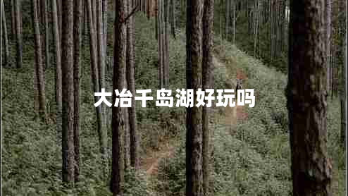 大冶千島湖好玩嗎