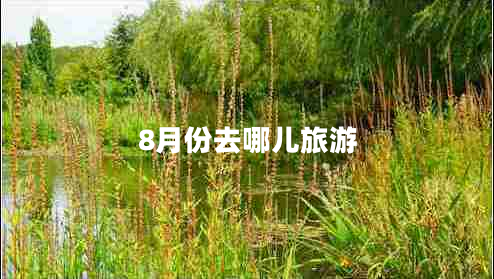 8月份去哪兒旅游