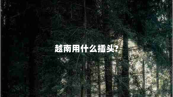 越南用什么插頭?