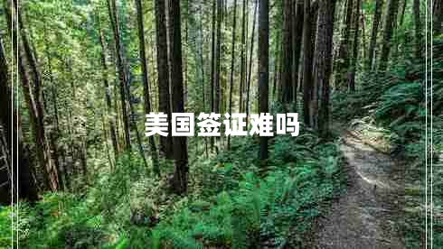 美國(guó)簽證難嗎 美國(guó)簽證難嗎