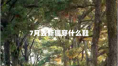 7月去新疆穿什么鞋 7月去新疆穿什么鞋