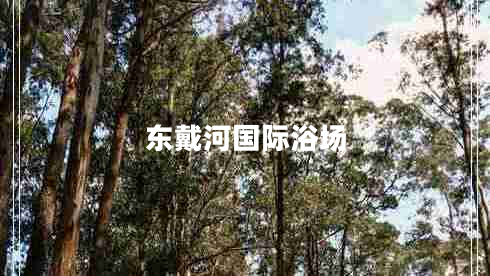 東戴河國際浴場 東戴河國際浴場