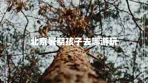 北京暑期孩子去哪游玩 北京暑期孩子去哪游玩