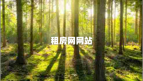 租房網(wǎng)網(wǎng)站