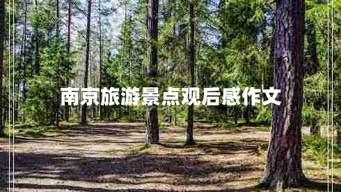 南京旅游景點(diǎn)觀后感作文