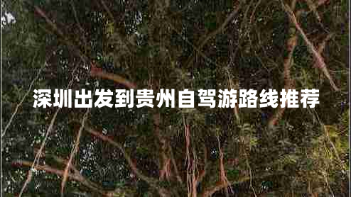 深圳出發(fā)到貴州自駕游路線推薦