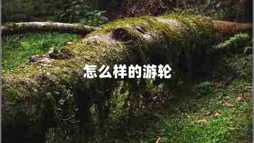 怎么樣的游輪 怎么樣的游輪