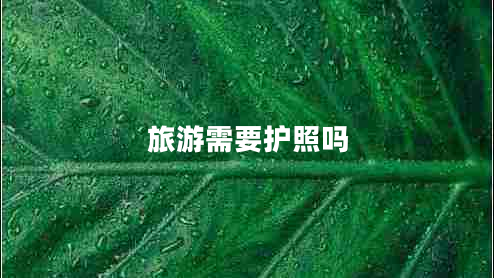旅游需要護照嗎 旅游需要護照嗎
