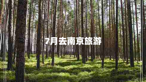 7月去南京旅游 7月去南京旅游
