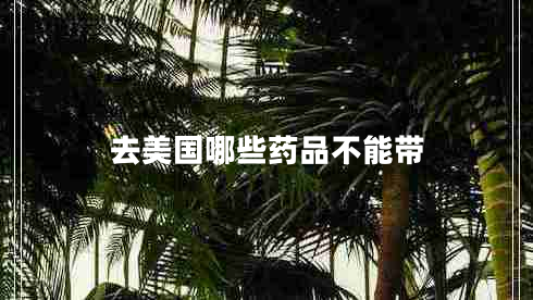 去美國(guó)哪些藥品不能帶