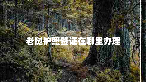 老撾護(hù)照簽證在哪里辦理