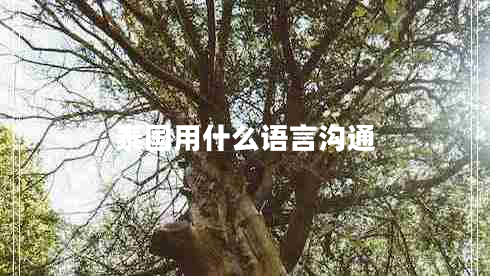 泰國(guó)用什么語(yǔ)言溝通 泰國(guó)用什么語(yǔ)言溝通