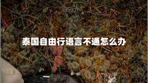 泰國(guó)自由行語言不通怎么辦 泰國(guó)自由行語言不通怎么辦