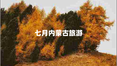 七月內(nèi)蒙古旅游 七月內(nèi)蒙古旅游