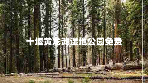 十堰黃龍灘濕地公園免費(fèi)