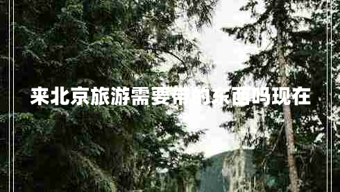 來北京旅游需要帶的東西嗎現(xiàn)在 來北京旅游需要帶的東西嗎現(xiàn)在