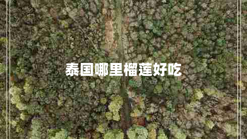 泰國(guó)哪里榴蓮好吃 泰國(guó)哪里榴蓮好吃