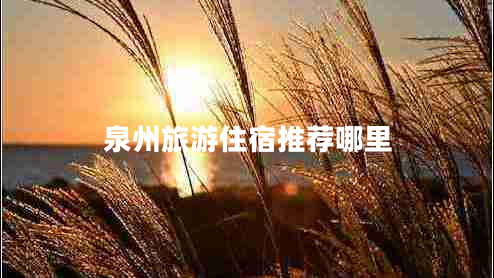 泉州旅游住宿推薦哪里