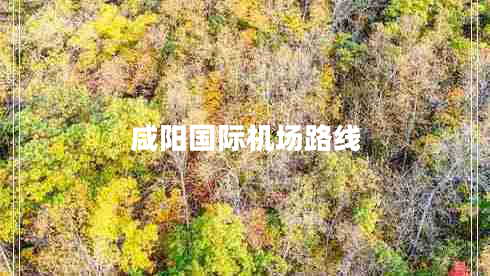 咸陽國際機場路線 咸陽國際機場路線