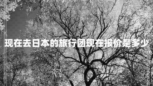 現(xiàn)在去日本的旅行團(tuán)現(xiàn)在報價是多少