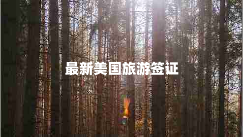 最新美國(guó)旅游簽證