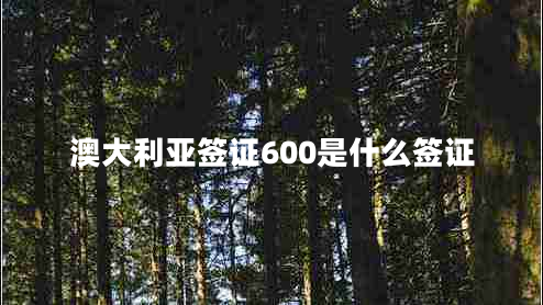 澳大利亞簽證600是什么簽證