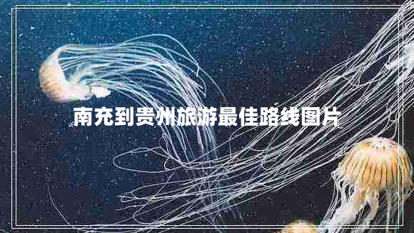 南充到貴州旅游最佳路線圖片