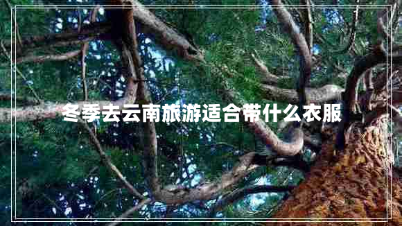 冬季去云南旅游適合帶什么衣服 冬季去云南旅游適合帶什么衣服