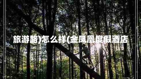 旅游路)怎么樣(金鳳凰度假酒店