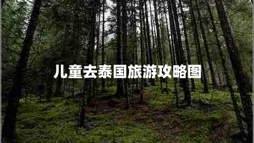 兒童去泰國(guó)旅游攻略圖