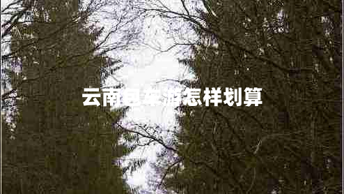 云南包車游怎樣劃算