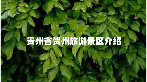 貴州省賀州旅游景區(qū)介紹