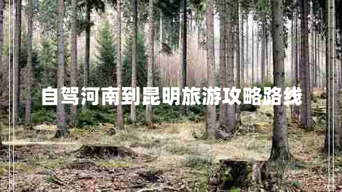 自駕河南到昆明旅游攻略路線(xiàn)