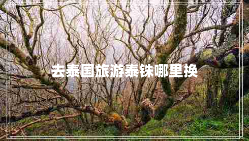 去泰國旅游泰銖哪里換 去泰國旅游泰銖哪里換