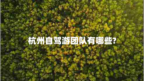 杭州自駕游團(tuán)隊(duì)有哪些?