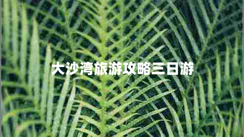 大沙灣旅游攻略三日游 大沙灣旅游攻略三日游