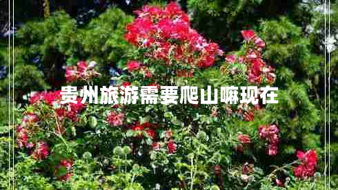 貴州旅游需要爬山嘛現(xiàn)在 貴州旅游需要爬山嘛現(xiàn)在