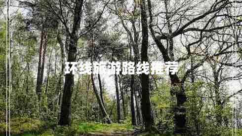 環(huán)線旅游路線推薦 環(huán)線旅游路線推薦